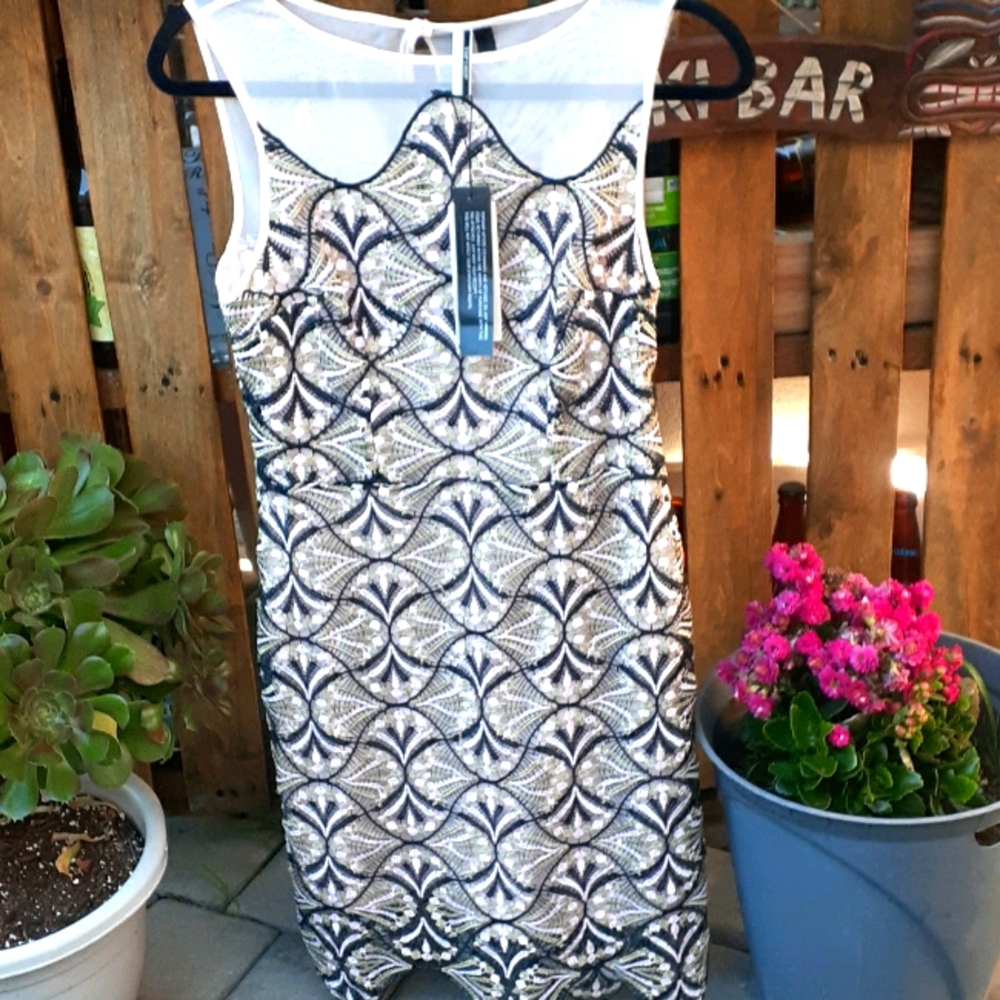 Topshop Sz 6, crochet,  see through mesh dress